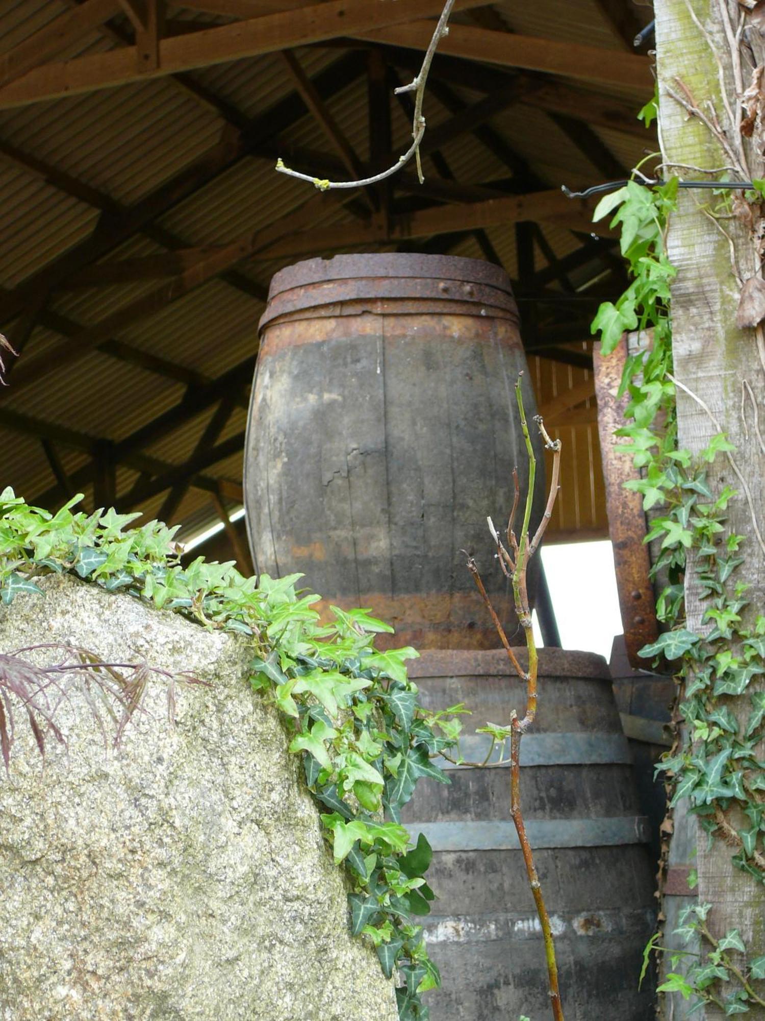 La Ferme De Kerhors Hotel Tréméoc Buitenkant foto