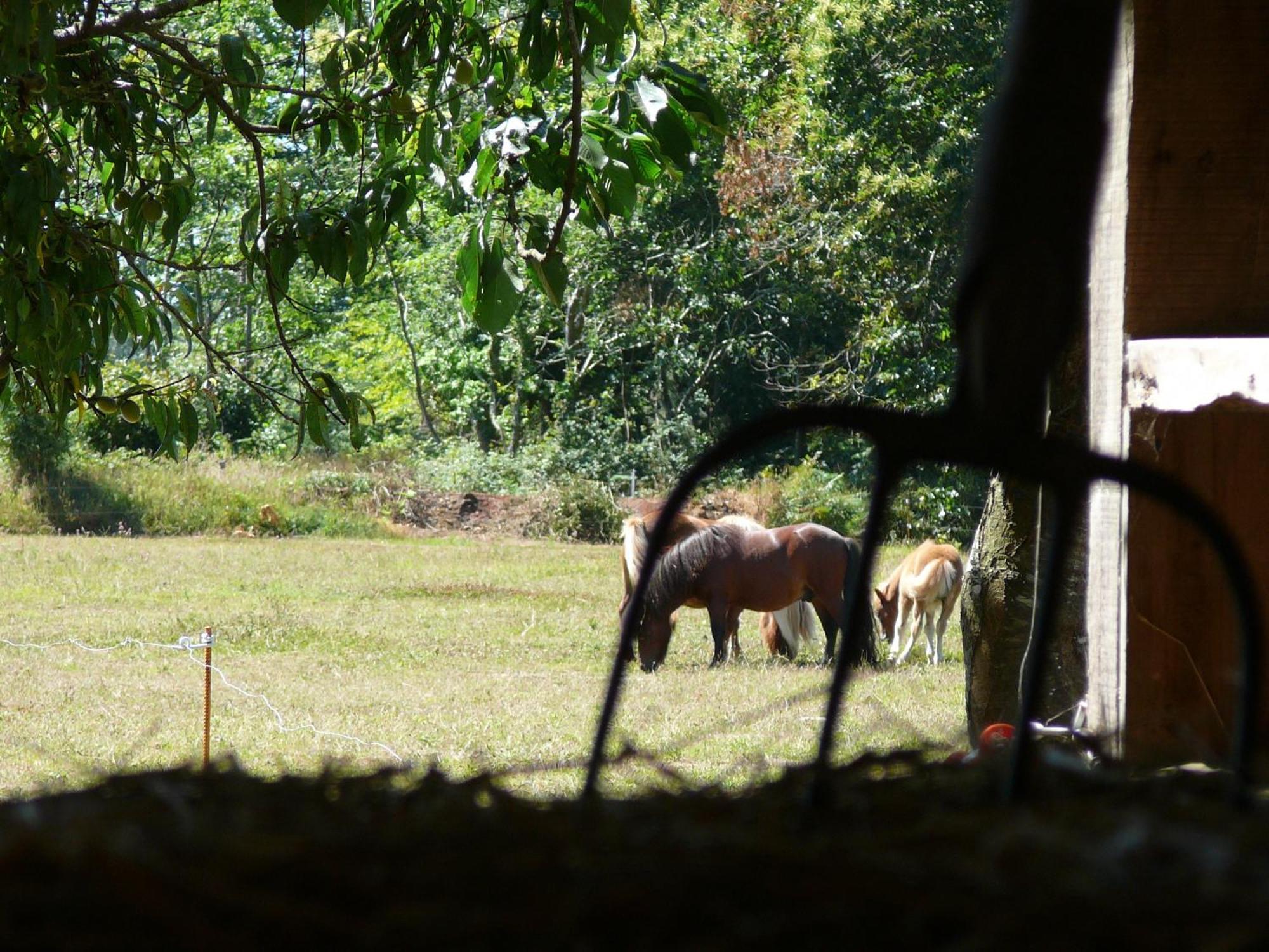 La Ferme De Kerhors Hotel Tréméoc Buitenkant foto