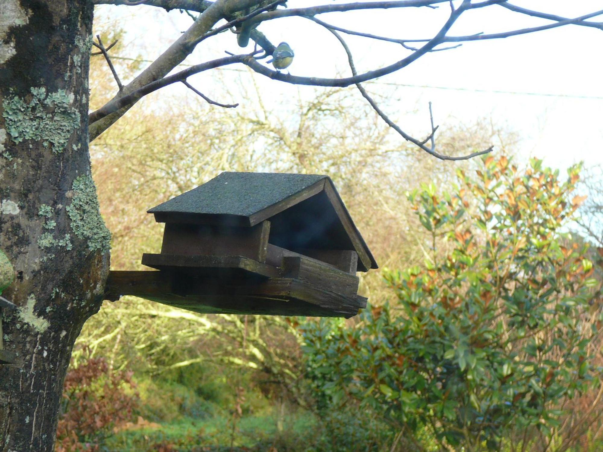 La Ferme De Kerhors Hotel Tréméoc Buitenkant foto