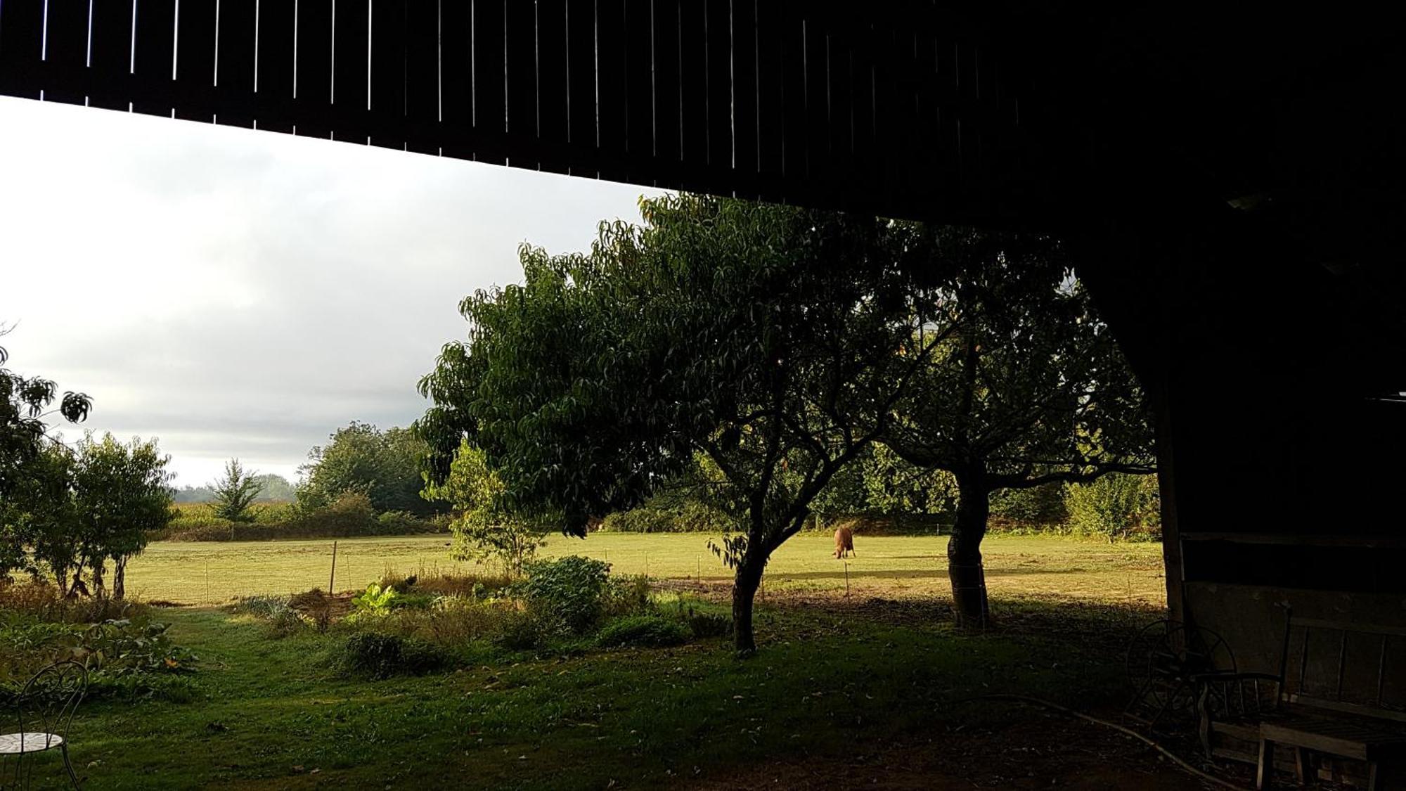 La Ferme De Kerhors Hotel Tréméoc Buitenkant foto